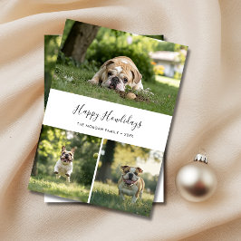 Tarjeta Festiva Elegantes Navidades de fotos de perros Mascota Fel