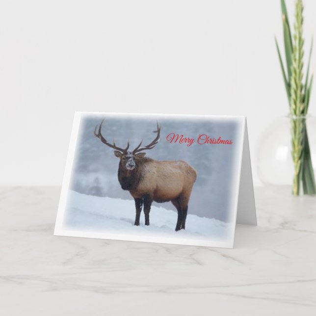 Tarjeta Festiva Elk Christmas Card (Anverso)