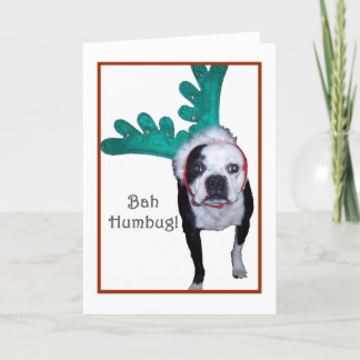 Tarjeta Festiva ¡Embaucamiento de Bah! - Boston Terrier