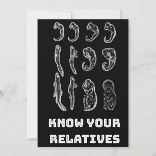 Tarjeta Festiva Embriogénesis de la evolución