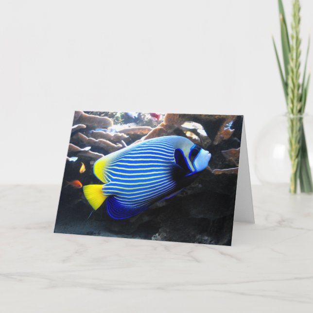Tarjeta Festiva Emperador Angelfish (Anverso)