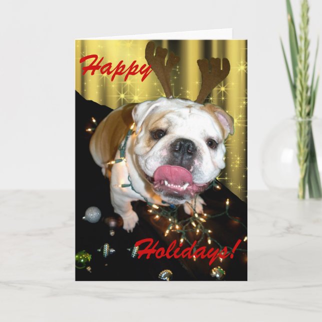 Tarjeta Festiva English bulldog holiday greeting card (Anverso)