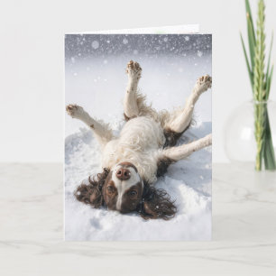 Tarjeta Festiva English Springer Spaniel Ángel de Nieve