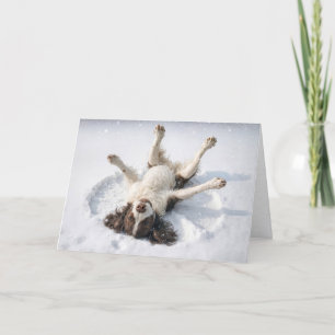 Tarjeta Festiva English Springer Spaniel haciendo un ángel de niev