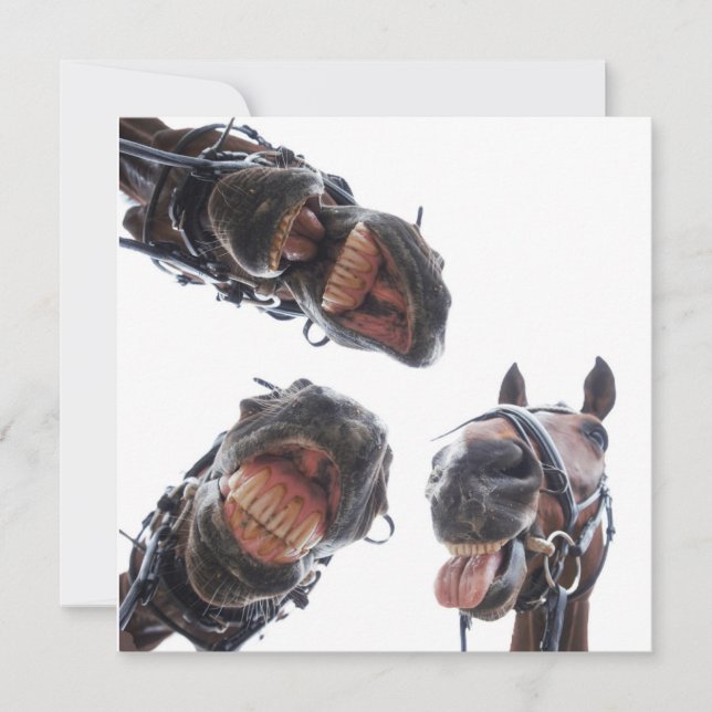 Tarjeta Festiva Enkele feestdagenkaart (Anverso)