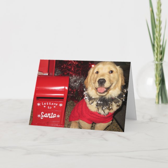 Tarjeta Festiva Entrega de Navidades de Cachorros de Golden Retrie (Anverso)