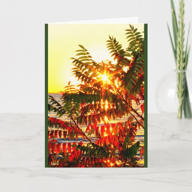 Tarjeta Festiva ¡Enviando Navidades Cálidos Te Gustará! (Anverso)