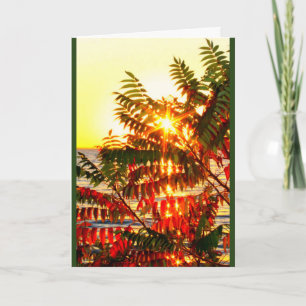 Tarjeta Festiva ¡Enviando Navidades Cálidos Te Gustará!