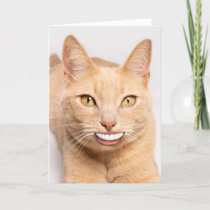 Tarjeta Festiva Enviar un gato gracioso sonriente con dientes huma