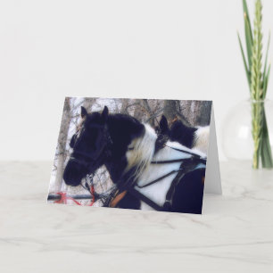 Tarjeta Festiva Equipo Pinto Borrador de Caballos, Navidades