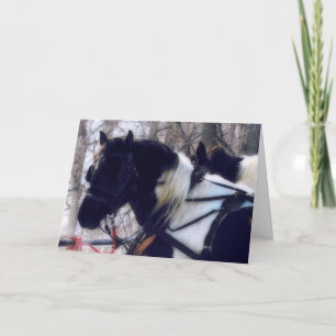 Tarjeta Festiva Equipo Pinto Borrador de Caballos, Navidades