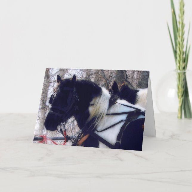Tarjeta Festiva Equipo Pinto Borrador de Caballos, Navidades (Anverso)