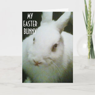 TARJETA FESTIVA ERES "MI" BUNNY DE ORIENTE