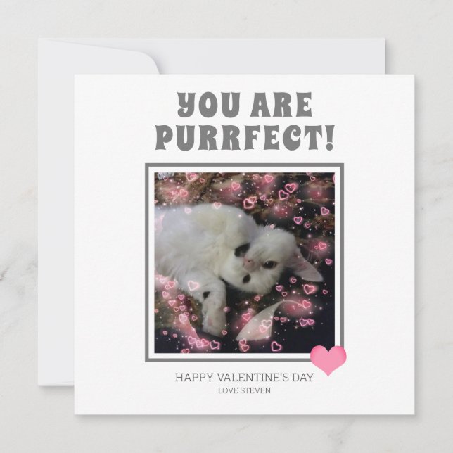 Tarjeta Festiva Eres Perfecto Divertido Valentines Cat Pun Nombre (Anverso)