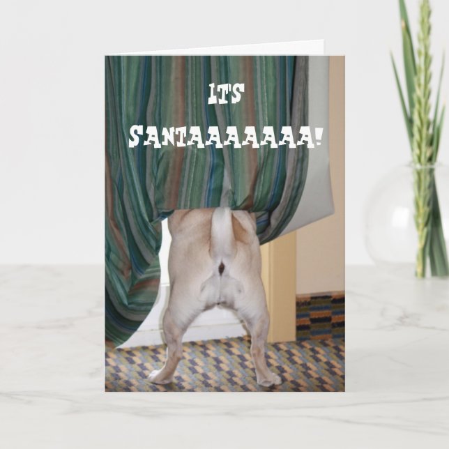 Tarjeta Festiva ¡es santa! (Anverso)