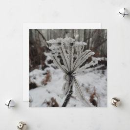 Tarjeta Festiva Escarcha de invierno en las plantas del bosque