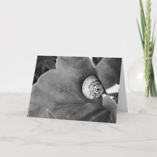 Tarjeta Festiva Escarnio (Anverso)