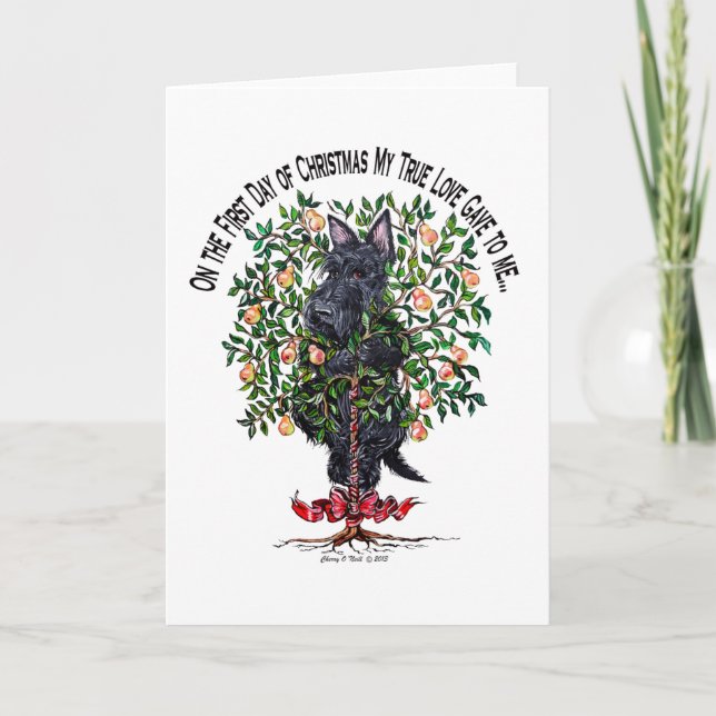 Tarjeta Festiva Escocia en un árbol perezoso (Anverso)