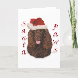 Tarjeta Festiva Español de agua irlandesa Santa Paws