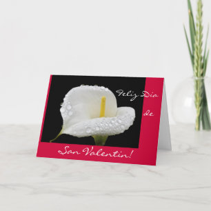 Tarjeta Festiva Español: El día de San Valentín/San Valentin