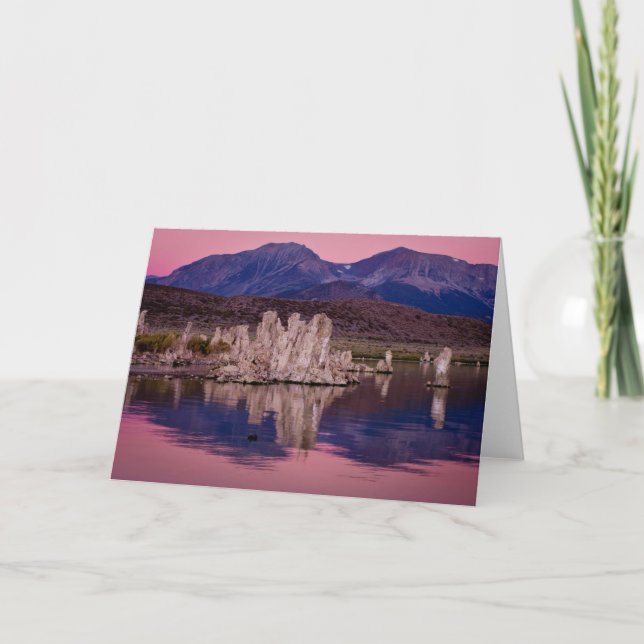 Tarjeta Festiva Espectacular Lago Mono A La Sombra (Anverso)