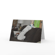 Esperando a Santa María