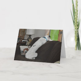 Tarjeta Festiva Esperando a Santa María