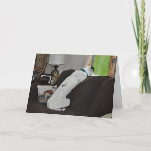 Tarjeta Festiva Esperando a Santa María