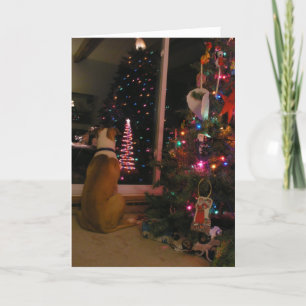 Tarjeta Festiva Esperando a Santa María