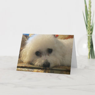 Tarjeta Festiva "Esperando la llegada de Santa María"