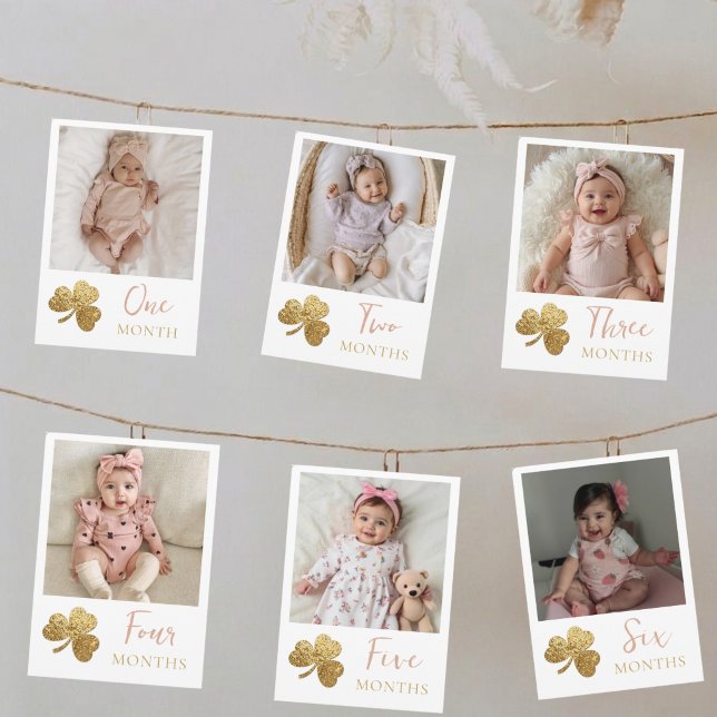 Tarjeta Festiva Estandarte de foto mensual del primer cumpleaños L (Subido por el creador)