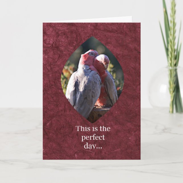 Tarjeta Festiva Este es el día perfecto (Anverso)