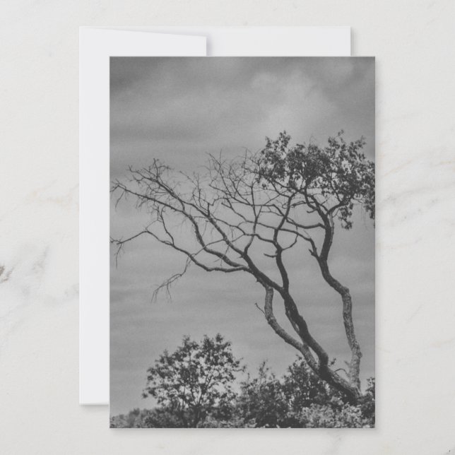 Tarjeta Festiva estilizado árbol gótico americano reimpreso por SW (Anverso)