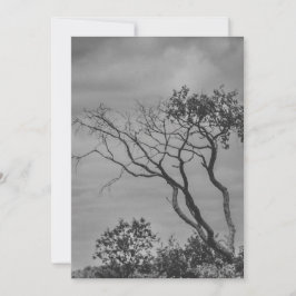 Tarjeta Festiva estilizado árbol gótico americano reimpreso por SW