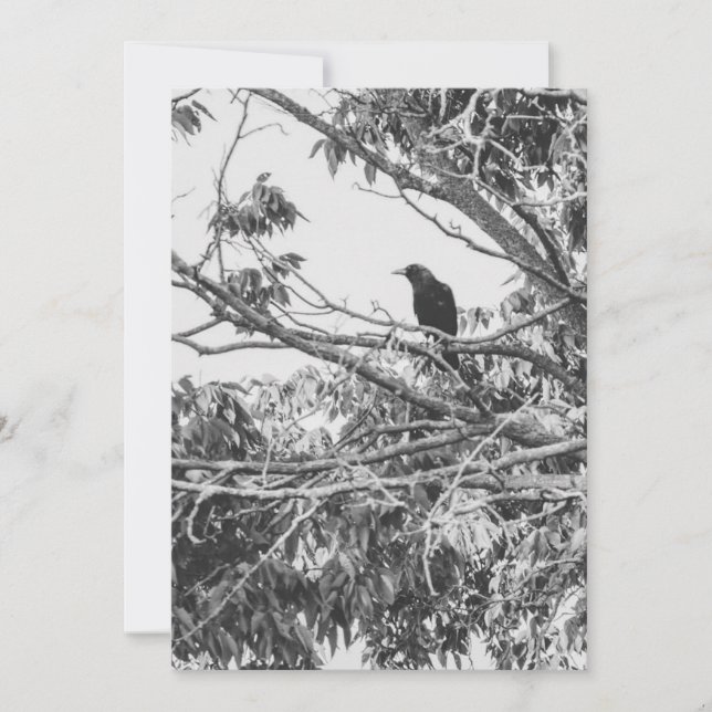 Tarjeta Festiva estilizado arte gótico americano de alto contraste (Anverso)