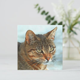 Tarjeta Festiva Estilo Personalizado artístico Tabby Cat RB