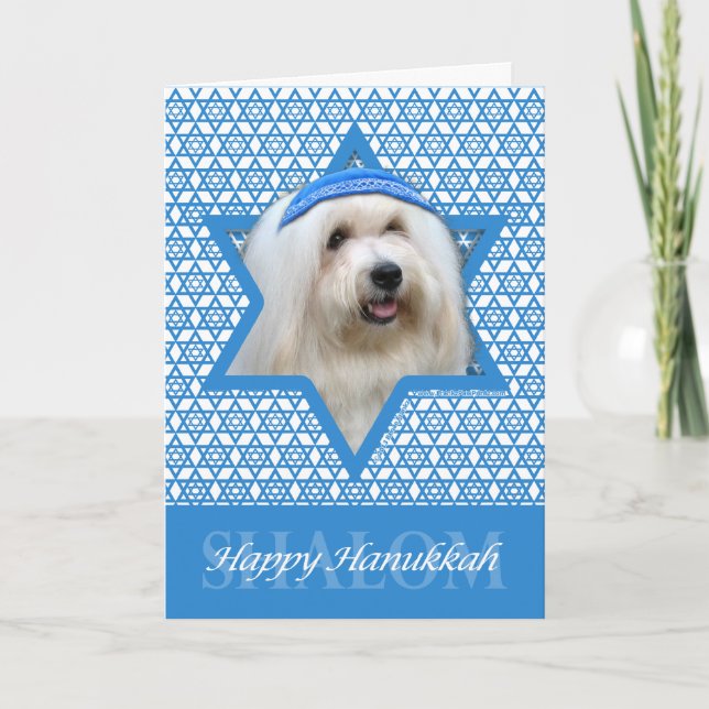 Tarjeta Festiva Estrella de David en Hanukkah - Coton de Tulear (Anverso)