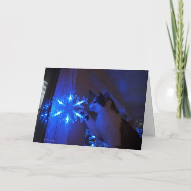 Tarjeta Festiva Estrella de la maravilla (Anverso)