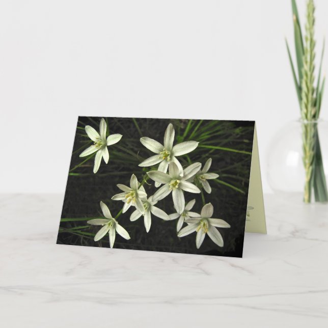 Tarjeta Festiva Estrella de los Navidades de Belén (Anverso)