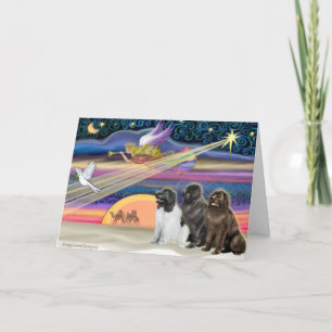 Tarjeta Festiva Estrella de los navidades - Terranova (tres)