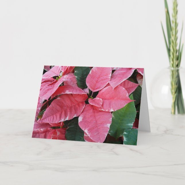 Tarjeta Festiva Estrella plateada de mármol Poinsettias Flor de va (Anverso)