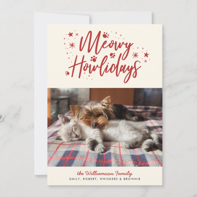 Tarjeta Festiva Estrellas de nieve Navidades fotográficos de Meowy (Anverso)