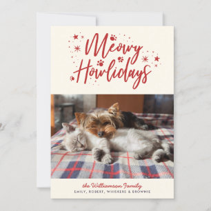 Tarjeta Festiva Estrellas de nieve Navidades fotográficos de Meowy