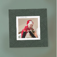 Evergreen bosnio Fern Minimalista moderno