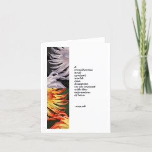 Tarjeta Festiva Expresiones de amor