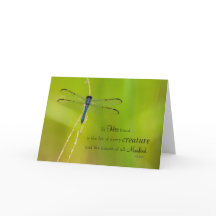 Expresiones de la libélula