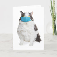 Extraño ver tu gato gordo en la máscara de la cara