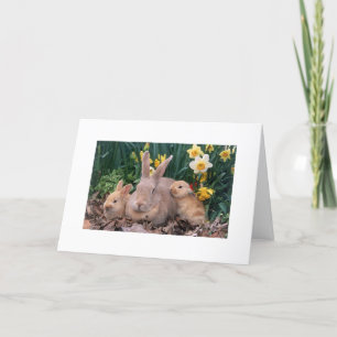 TARJETA FESTIVA FAMILIA DE BUNNY