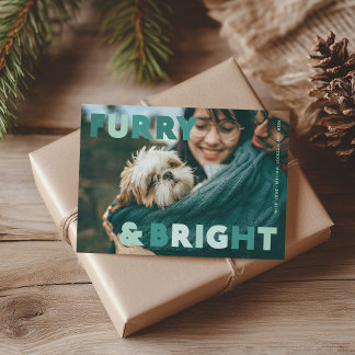 Tarjeta Festiva Familia de Perros Peludos y Brillantes Verde Turqu