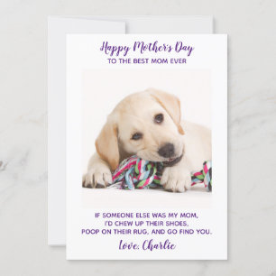 Tarjeta Festiva Famoso Día de la Madre Mascota personalizado foto 